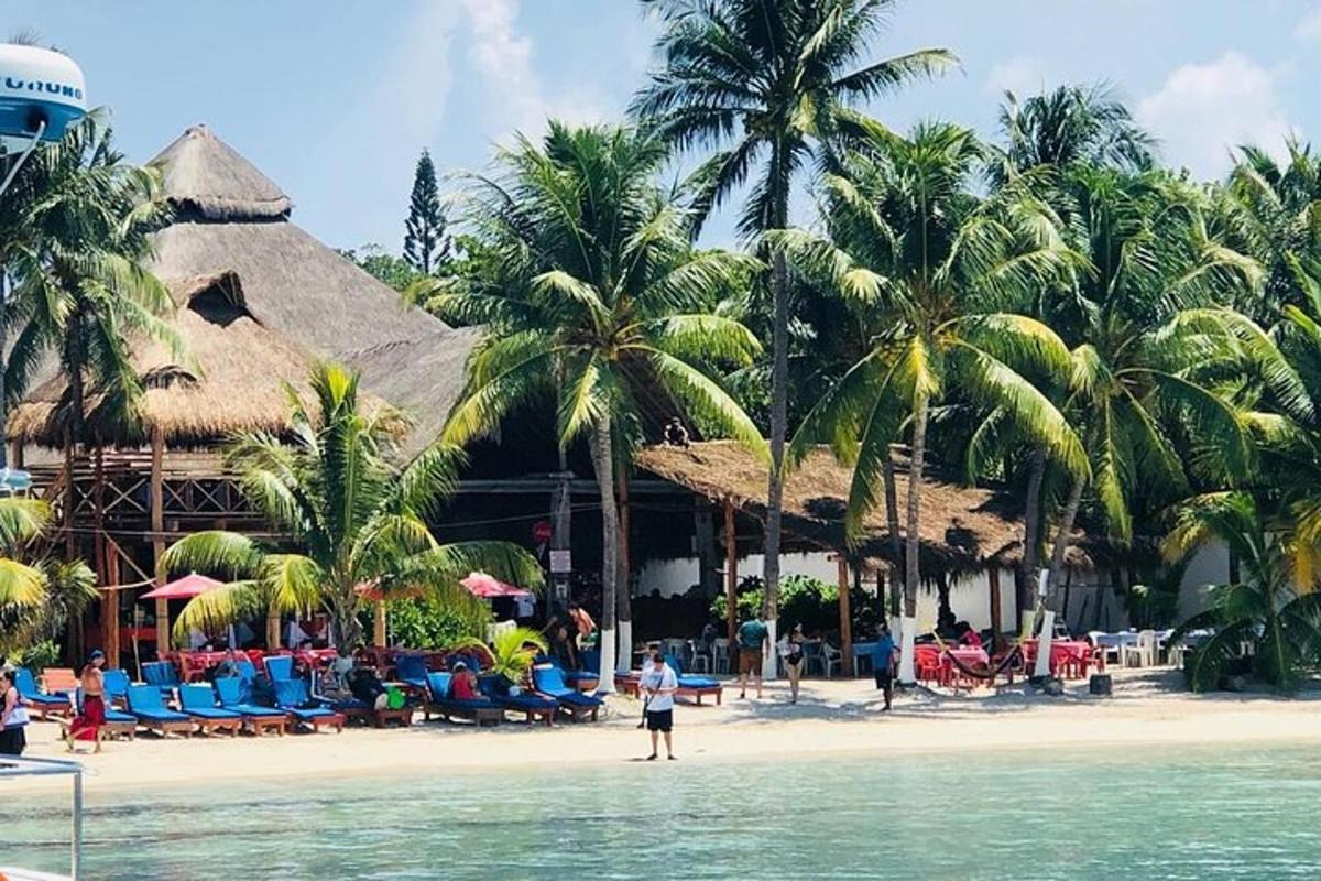 een strand met palmbomen en mensen in het water
