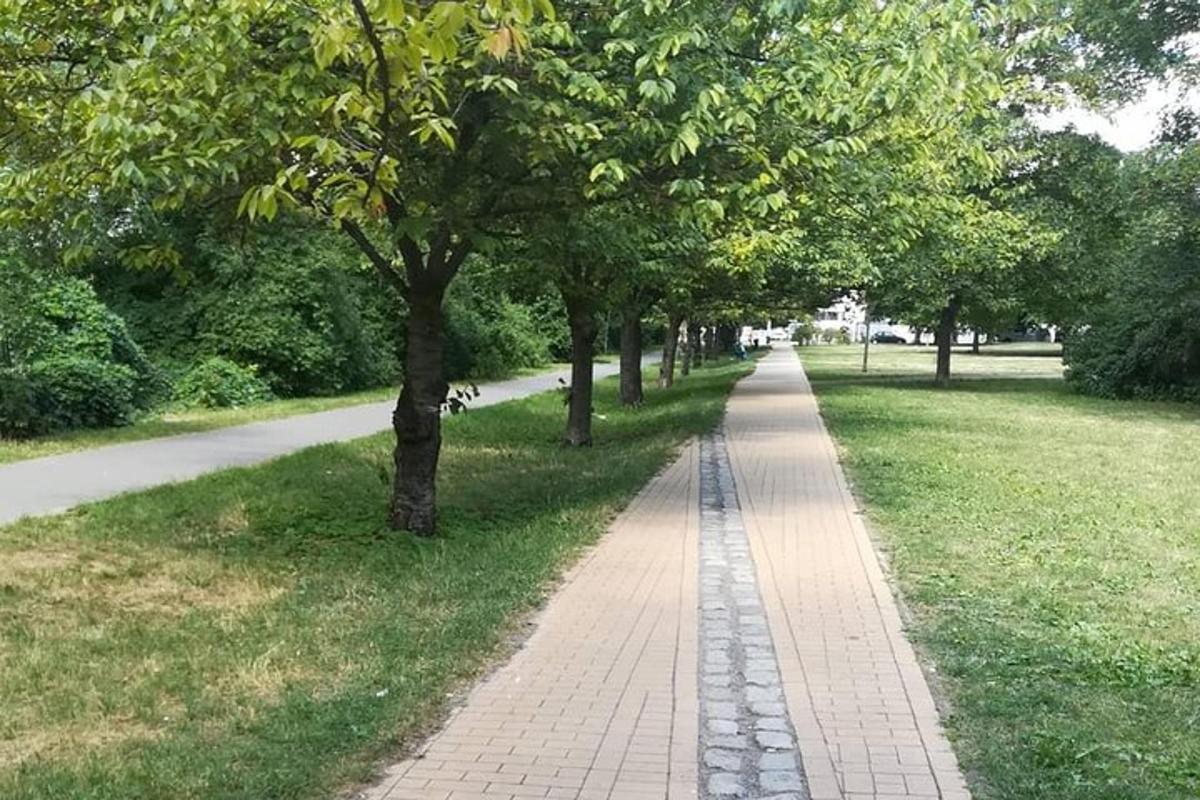 un sentiero in un parco con alberi ed erba