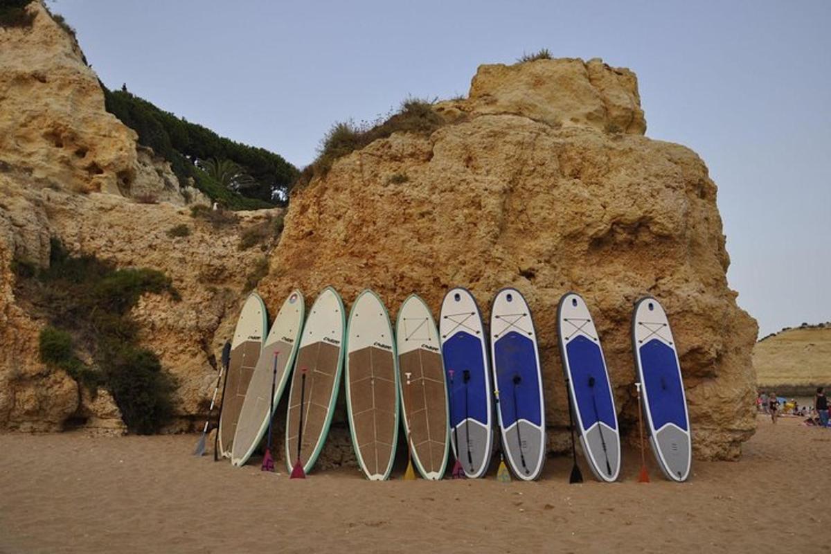 een groep surfplanken opgesteld tegen een rotsformatie