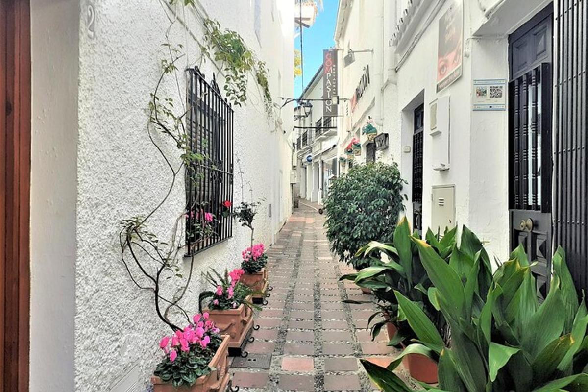 um beco com plantas em vasos na lateral de um prédio