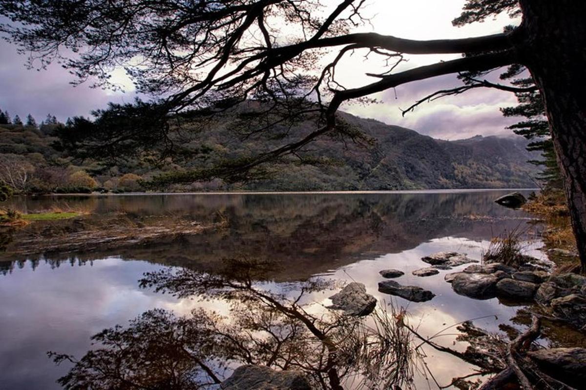 una vista di un lago con alberi e rocce