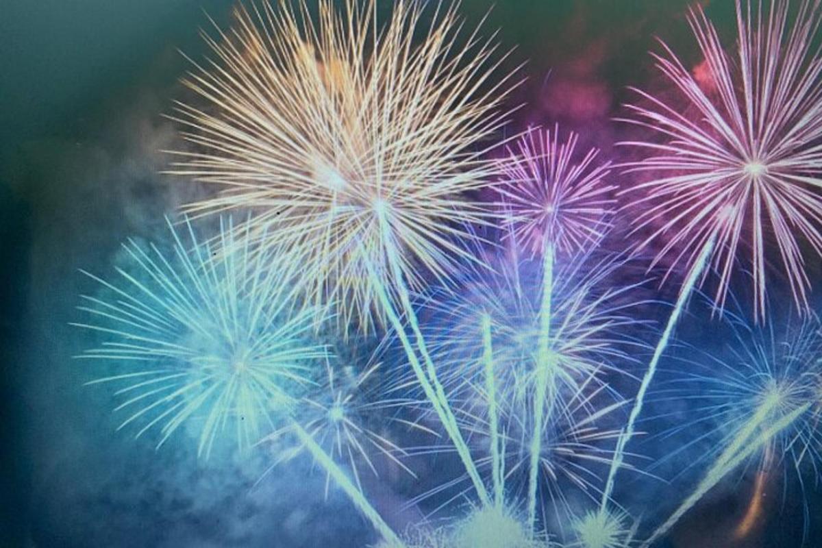 un grup de focs artificials de colors que exploten al cel