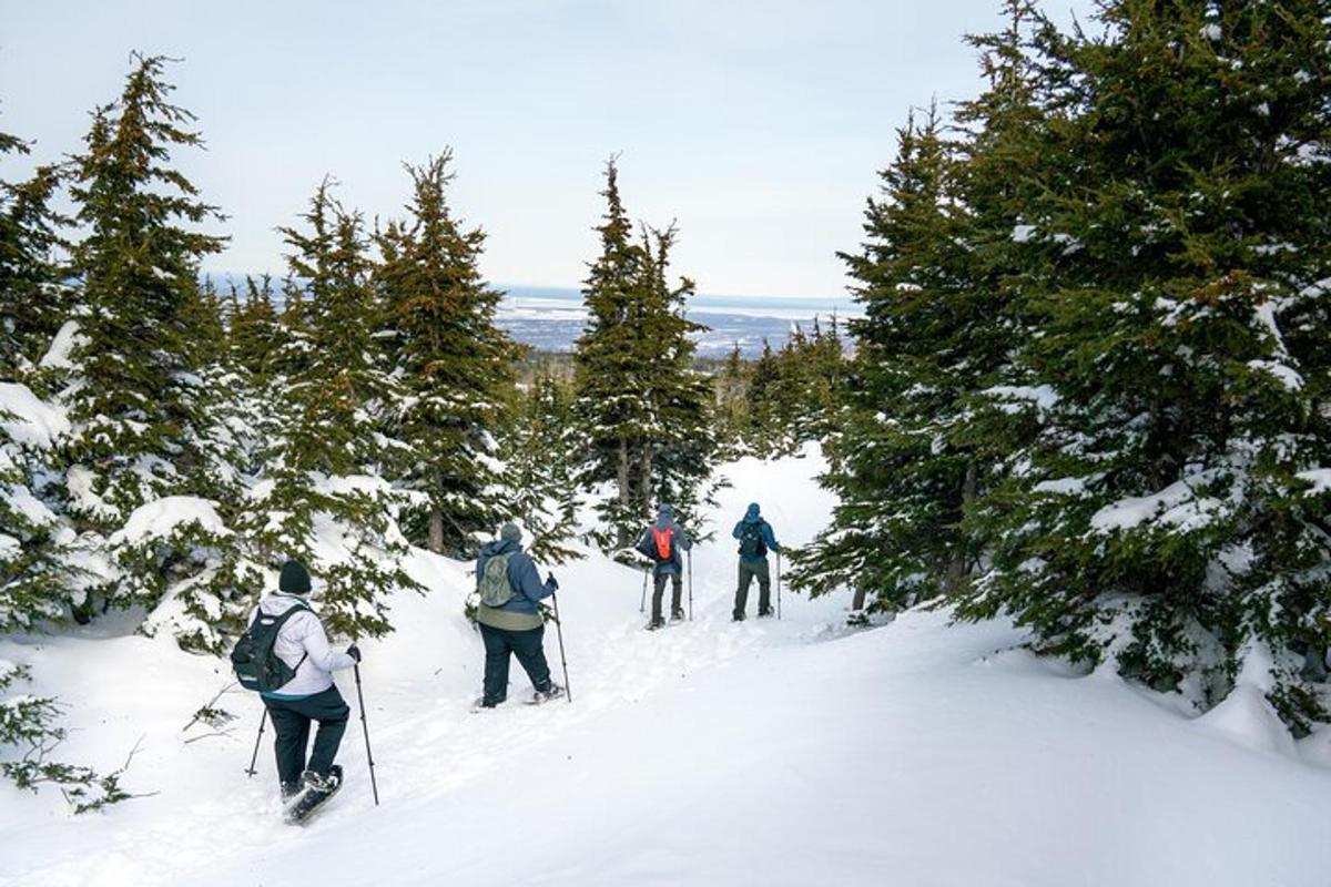 un gruppo di persone che praticano sci di fondo sulla neve