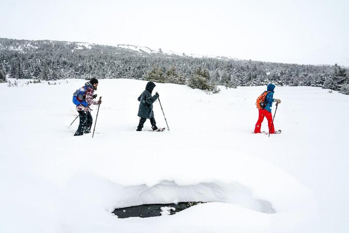tre persone sono in piedi sulla neve con gli sci