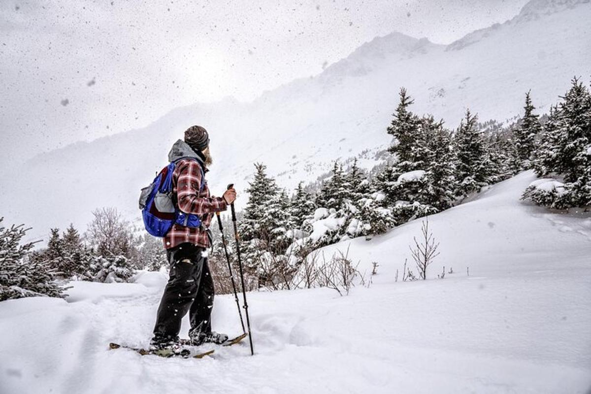 seseorang yang bermain ski di salji dengan beg galas