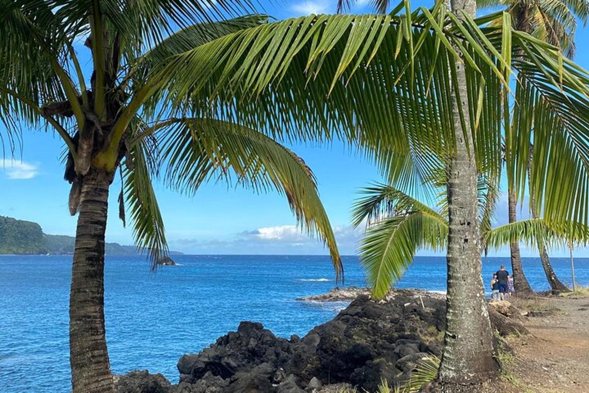 dua pokok palma di pantai dengan lautan