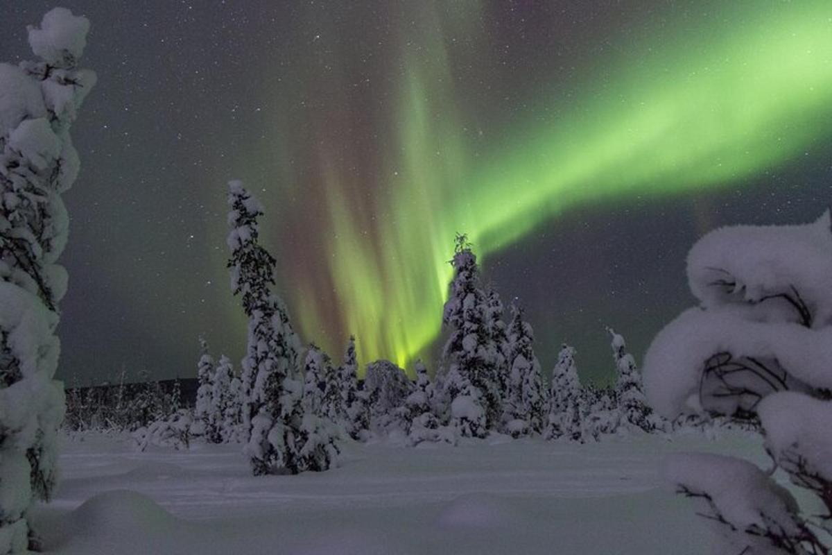 Bilde 5 av attraksjonen