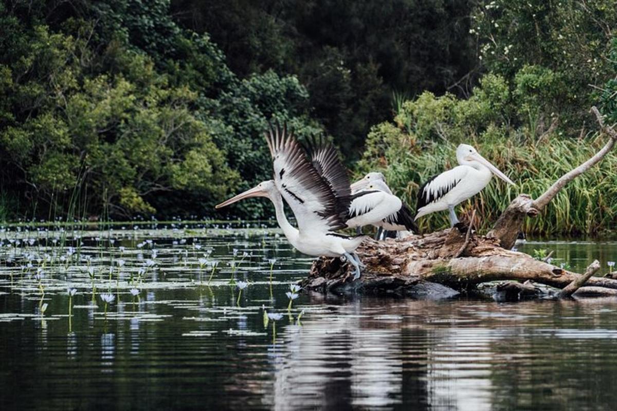 Turistik nokta fotoğrafı 5