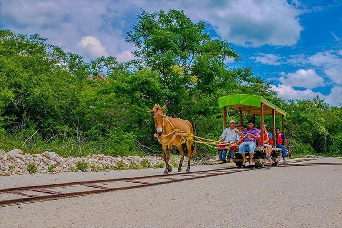 un grupo de personas viajando en un carruaje tirado por caballos