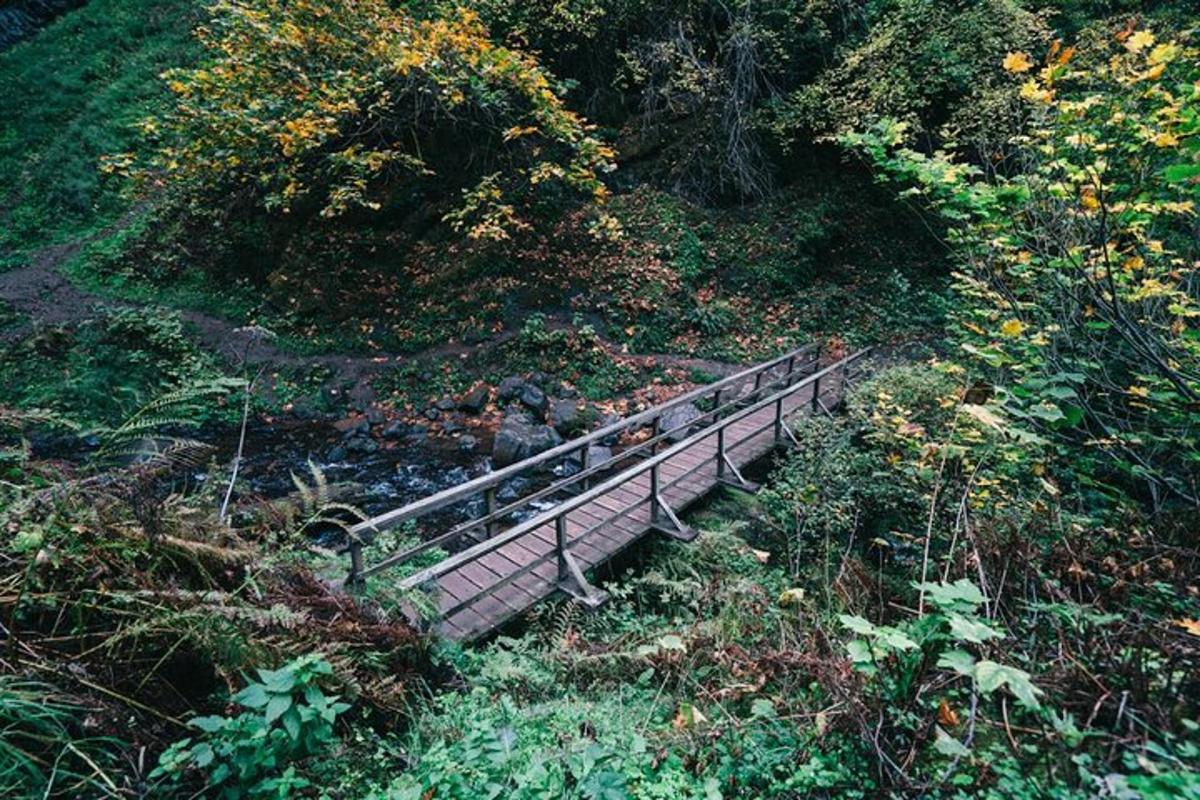 a wooden bridge over a river on a hill