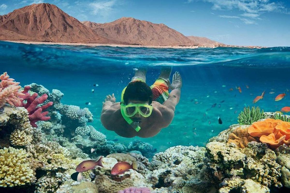 osoba plavající v oceánu nad korálovým útesem