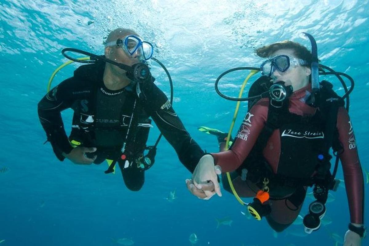 Dos personas con equipo de buceo nadando en el agua