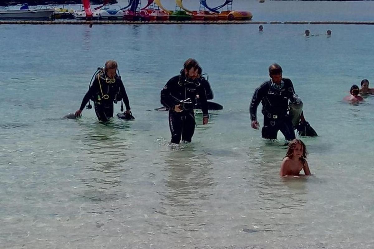 um grupo de pessoas na água em uma praia