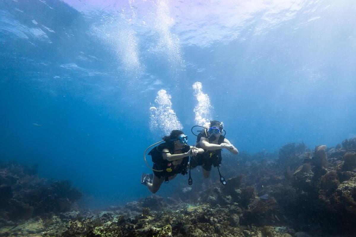 a person is swimming in the water over a reef