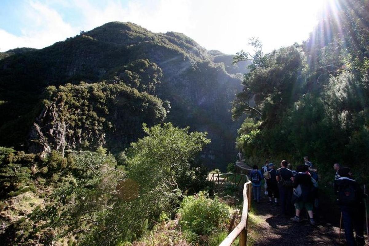 un gruppo di persone in piedi su un sentiero in montagna