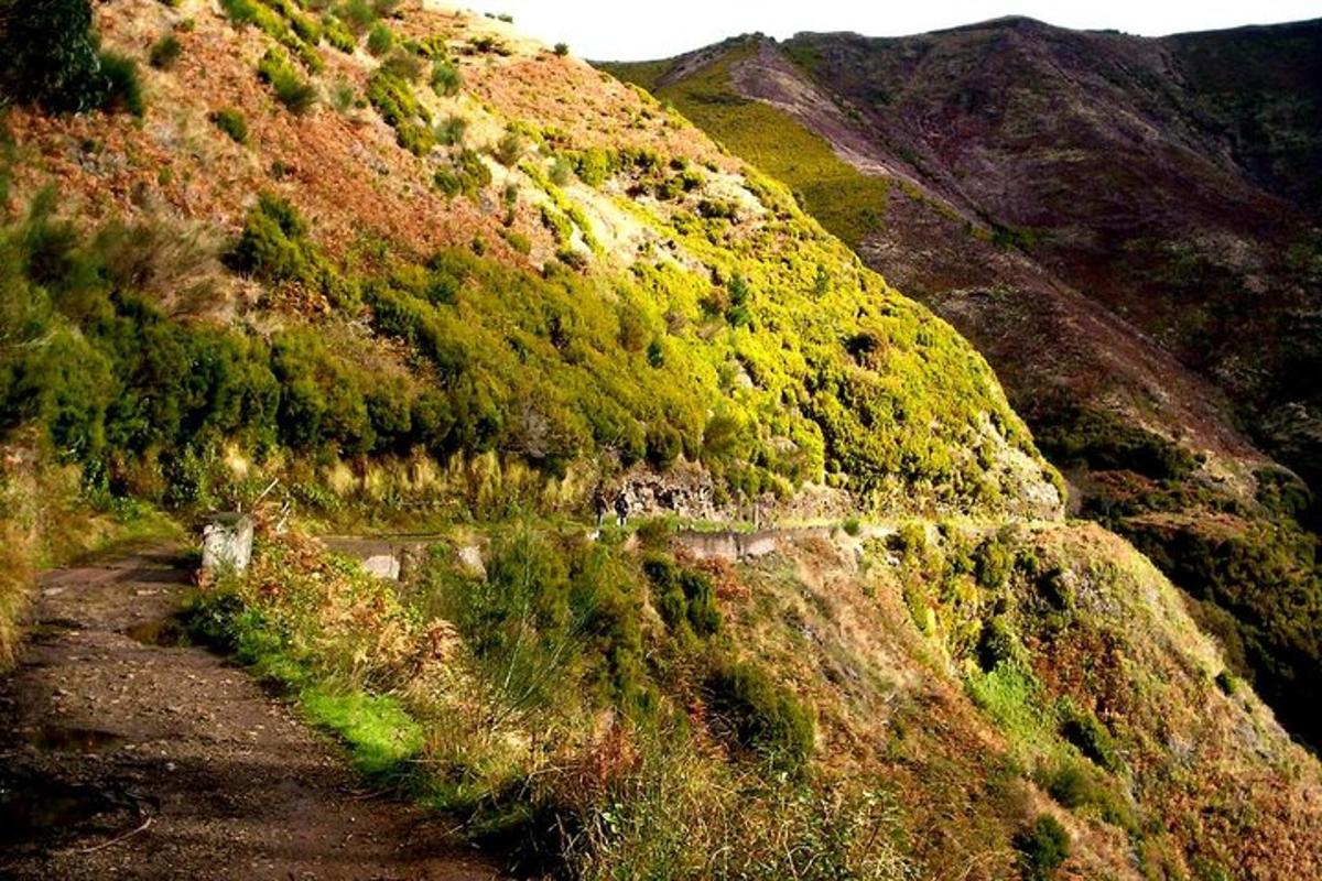 una strada sterrata su una collina con alberi sopra
