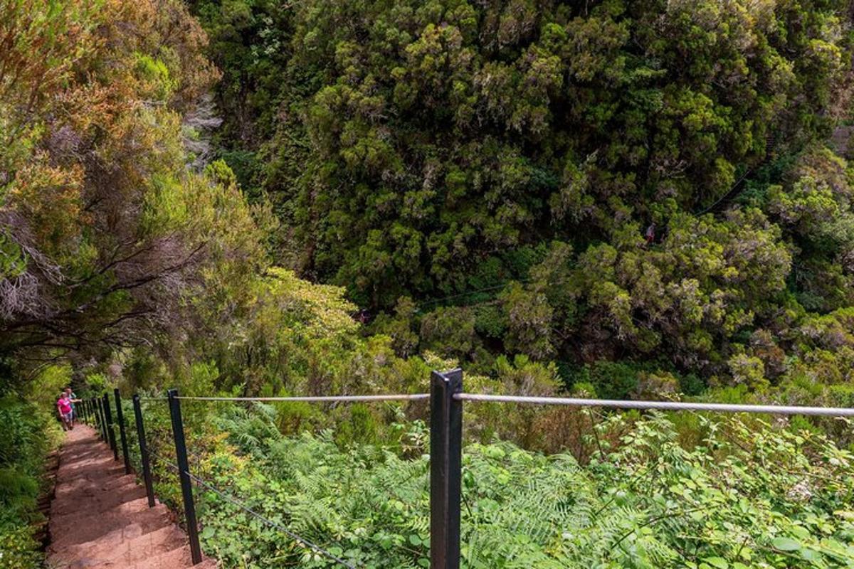 una persona che cammina su un sentiero in una foresta