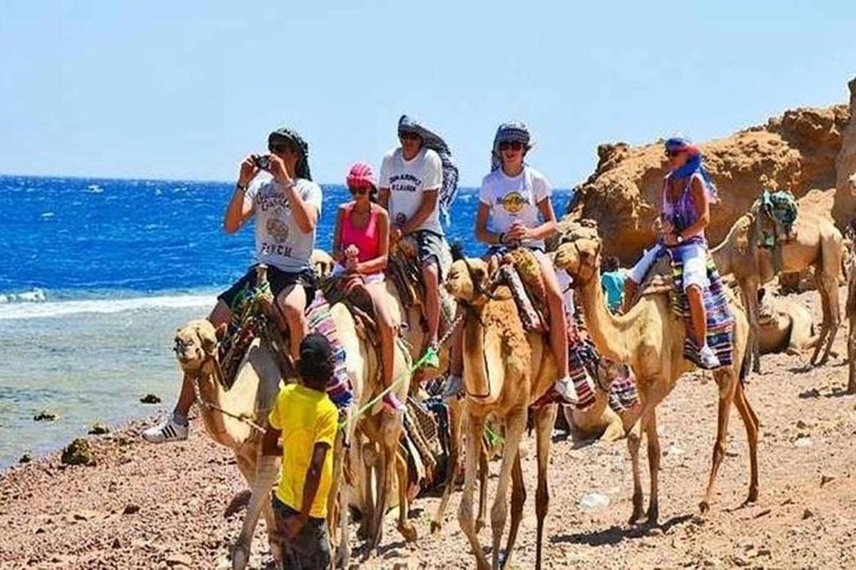 a group of people riding camels on the beach