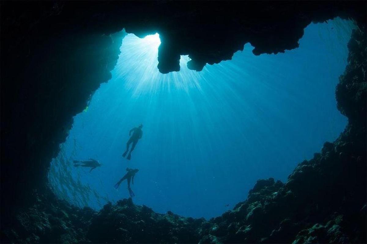 a group of people swimming in an underwater cave