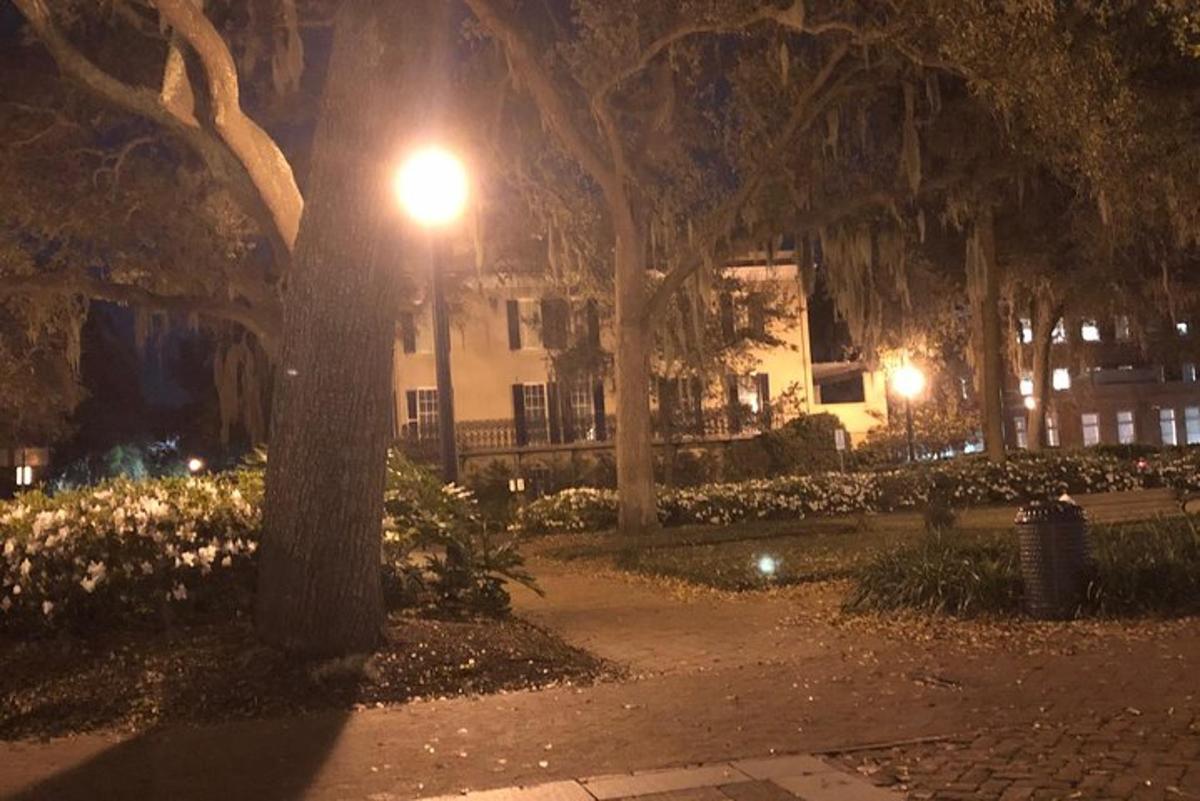 a street light in a park at night