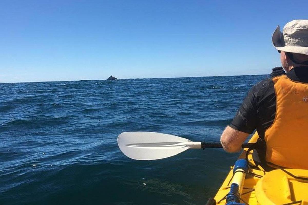 a man is paddling a kayak in the ocean
