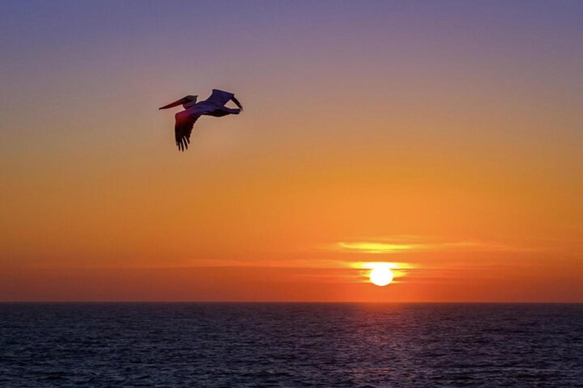 Fotografia da atração 6