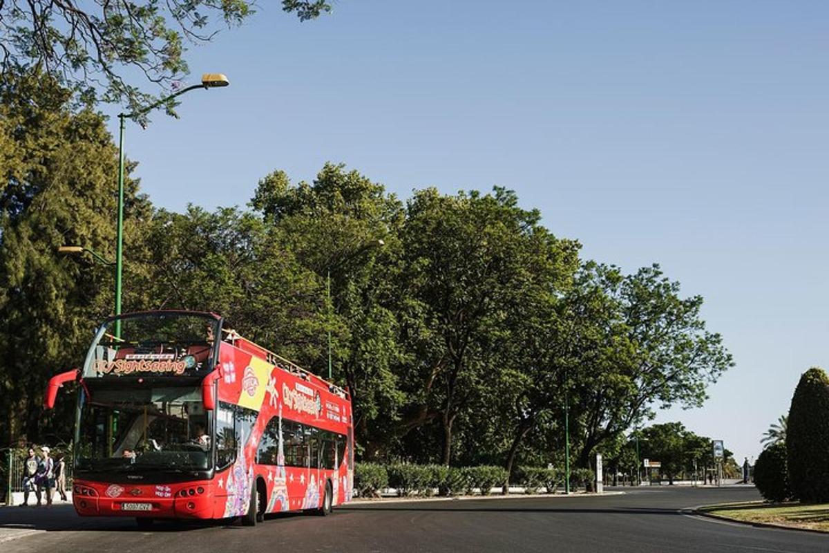 Fotografia da atração 4