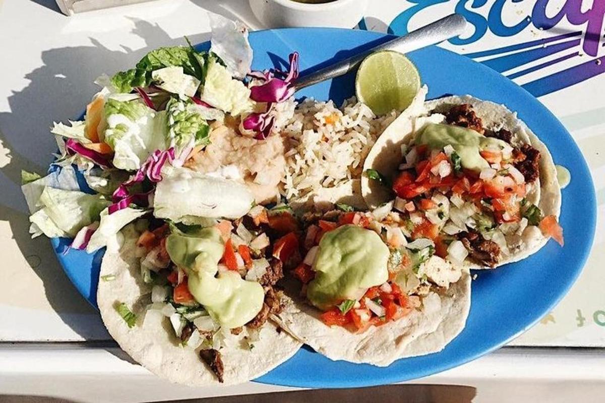 due tacos su un piatto blu con un'insalata