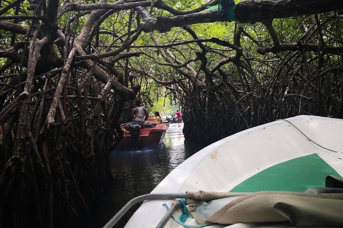 bot di dalam air di hutan bakau