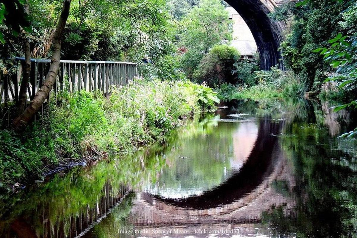 pemandangan sungai dengan jembatan di latar belakang