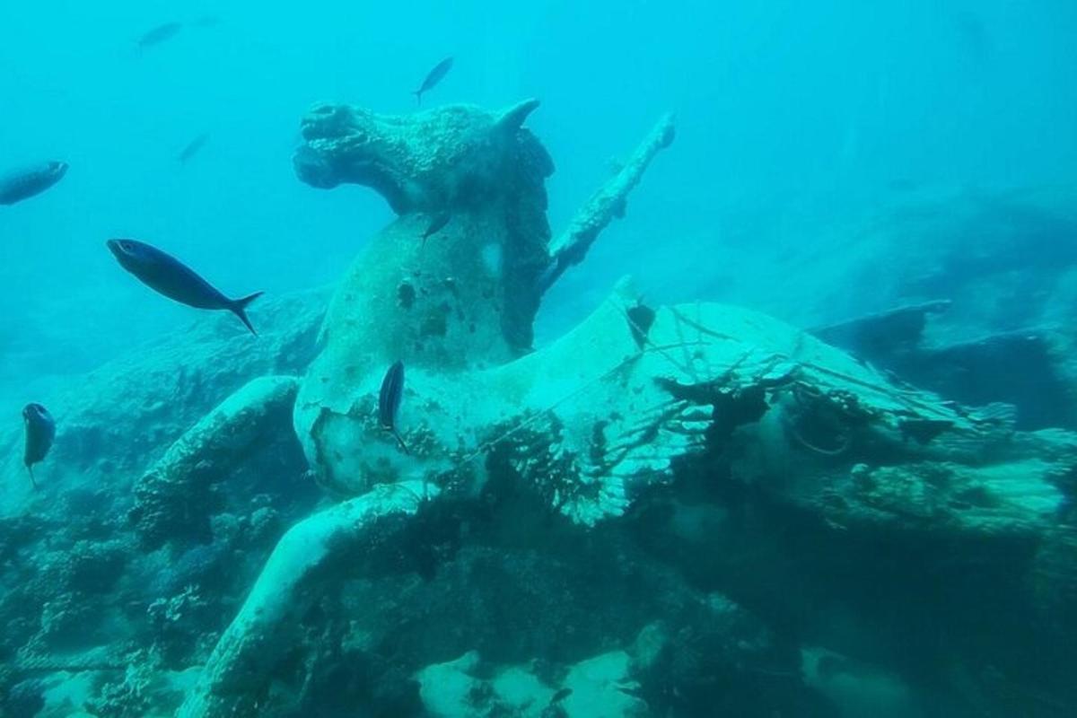 a large sea creature in the water with fish