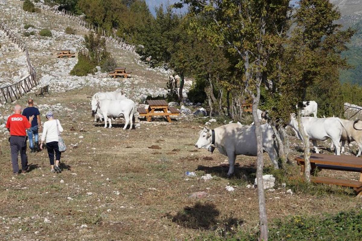 Φωτογραφία αξιοθέατου 4