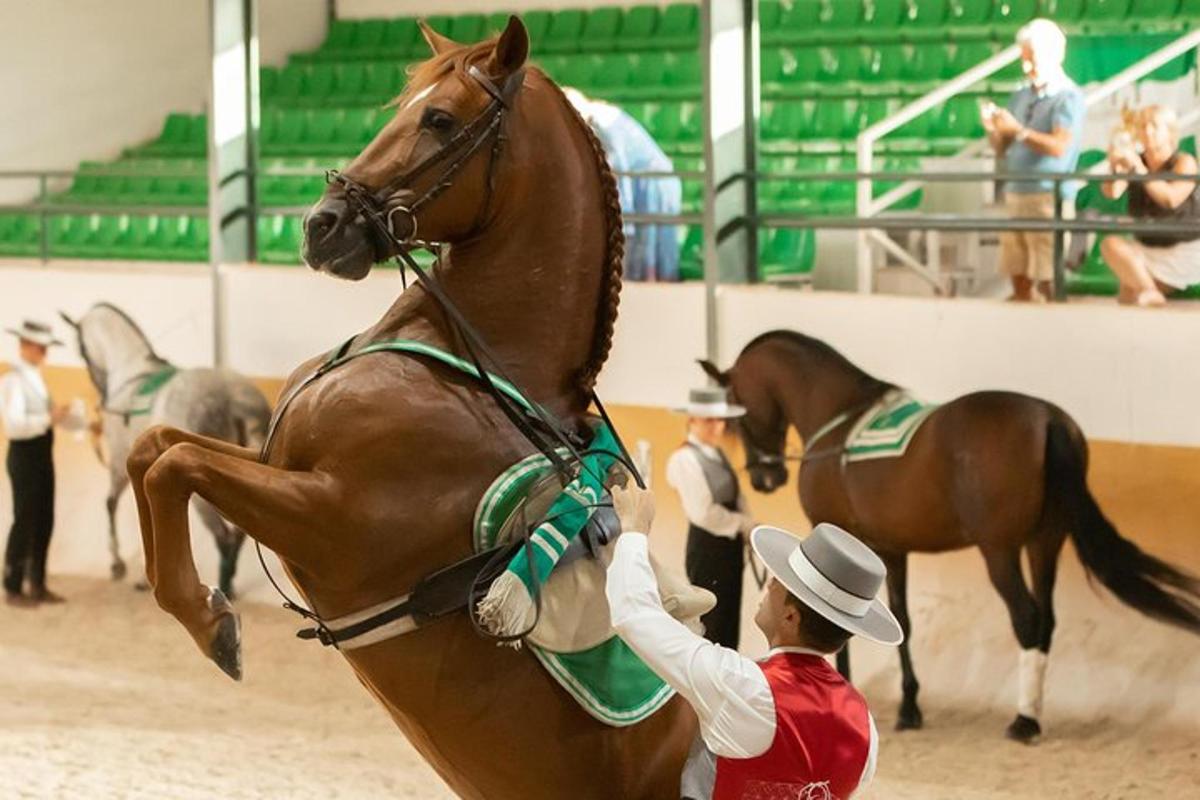 a man is holding the back of a horse