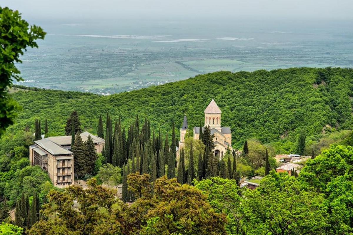 un edificio in cima a una collina con alberi