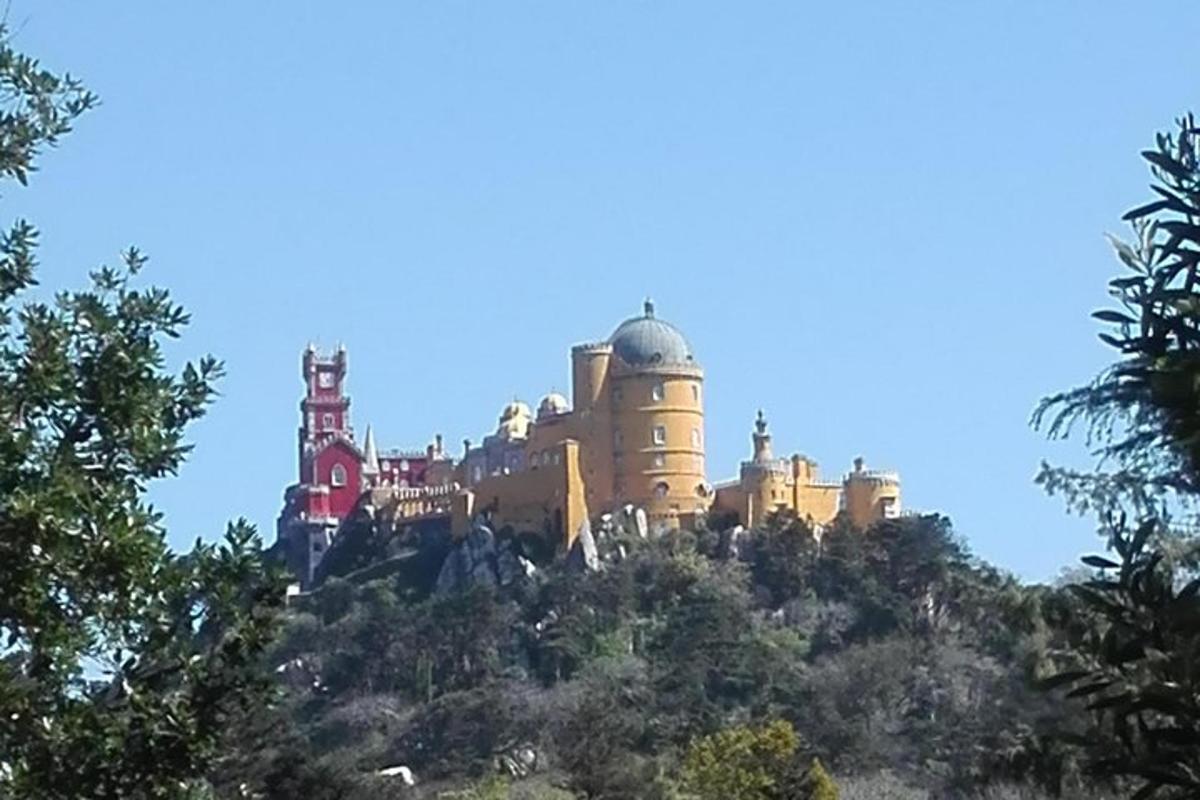 a castle on top of a hill with trees