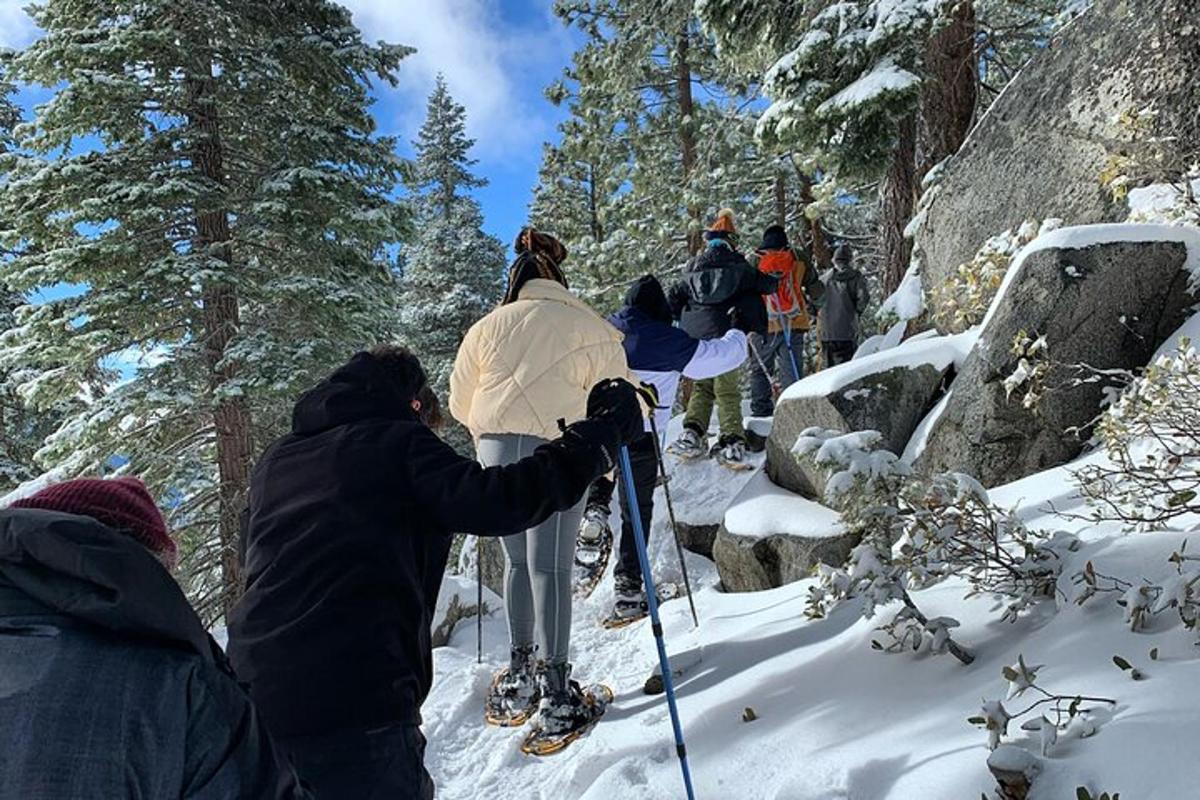 a group of people on skis in the snow