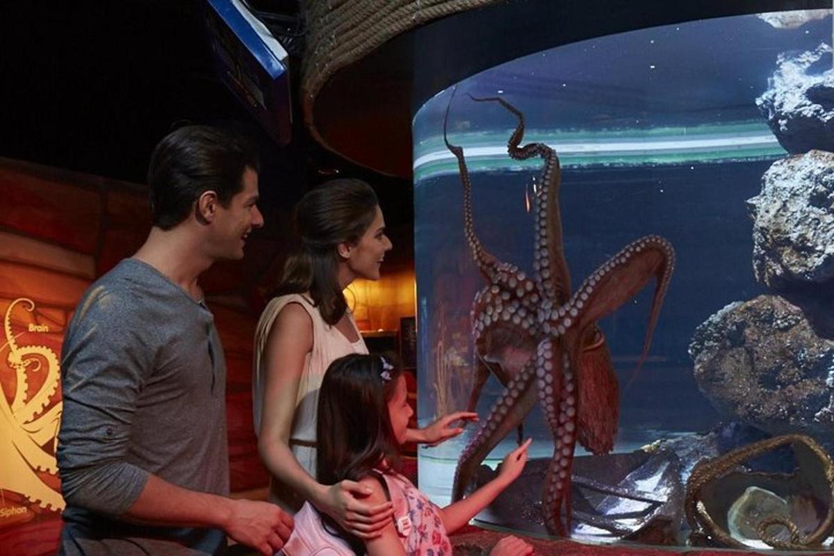 Attraction picture 1