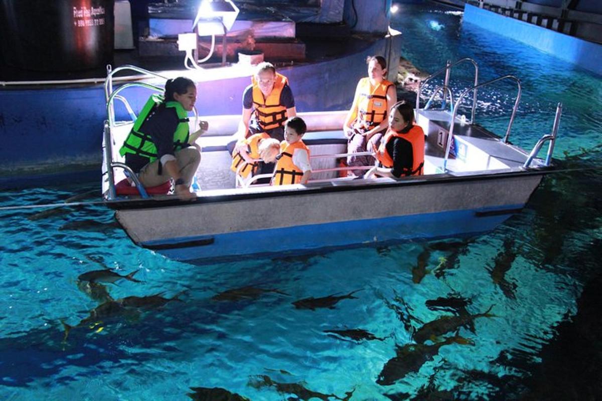 Attraction picture 6
