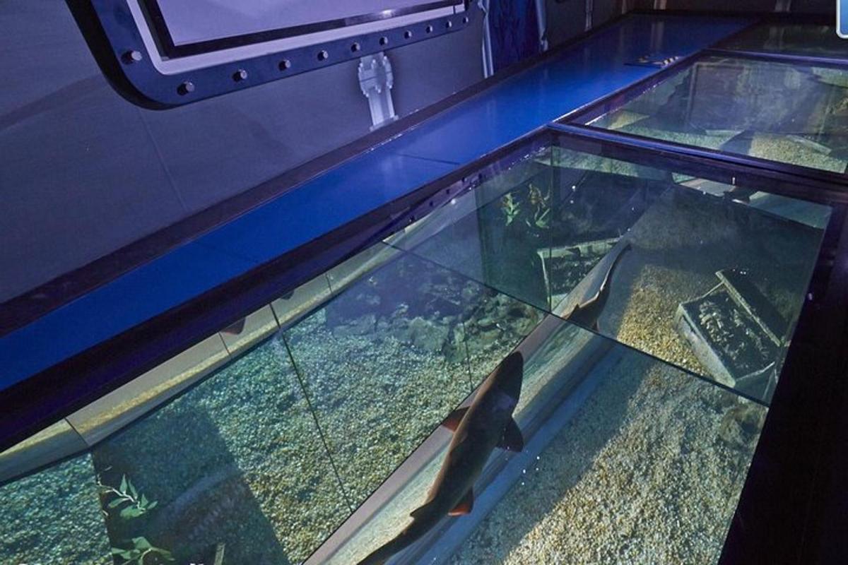 Attraction picture 7