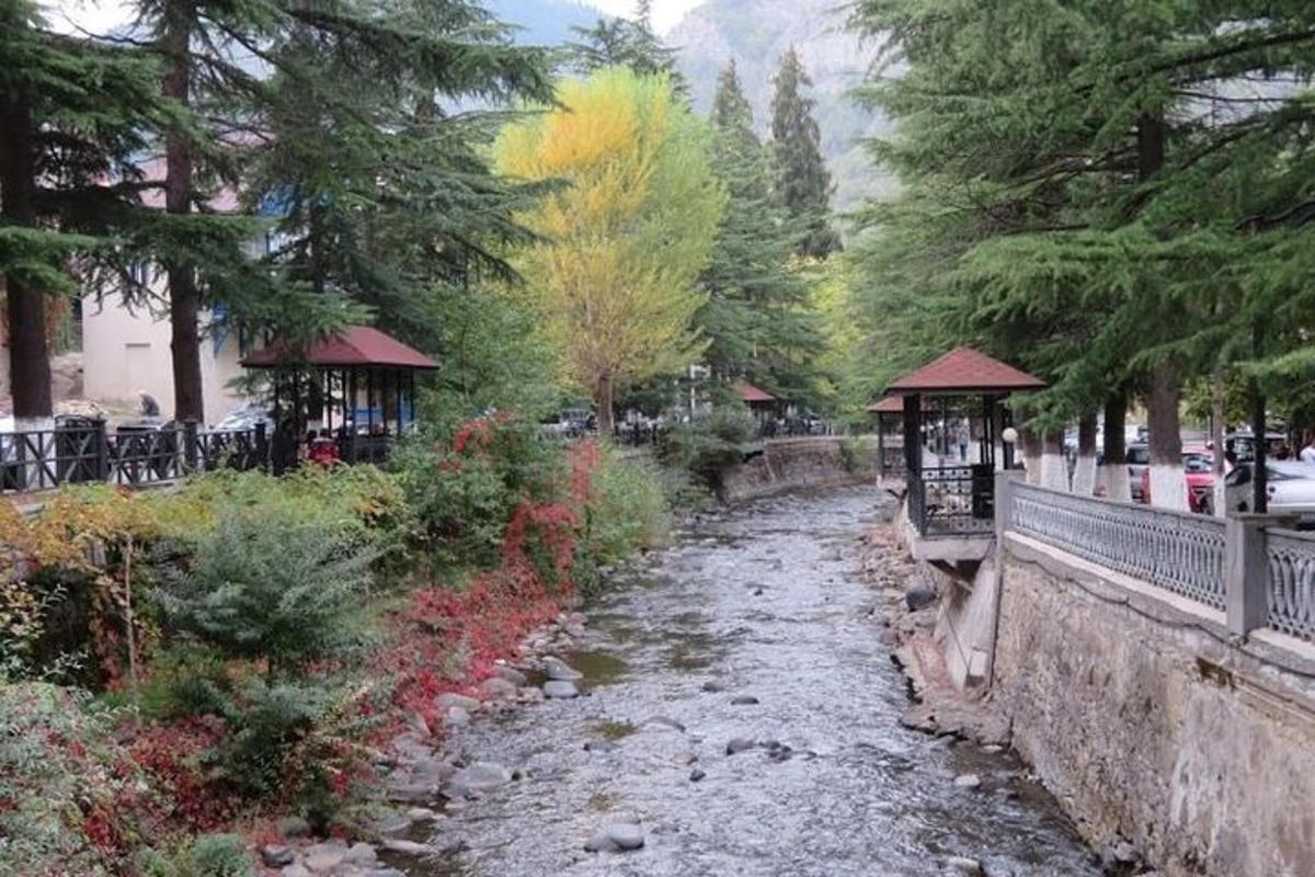 Un arroyo en un parque con árboles y un puente.