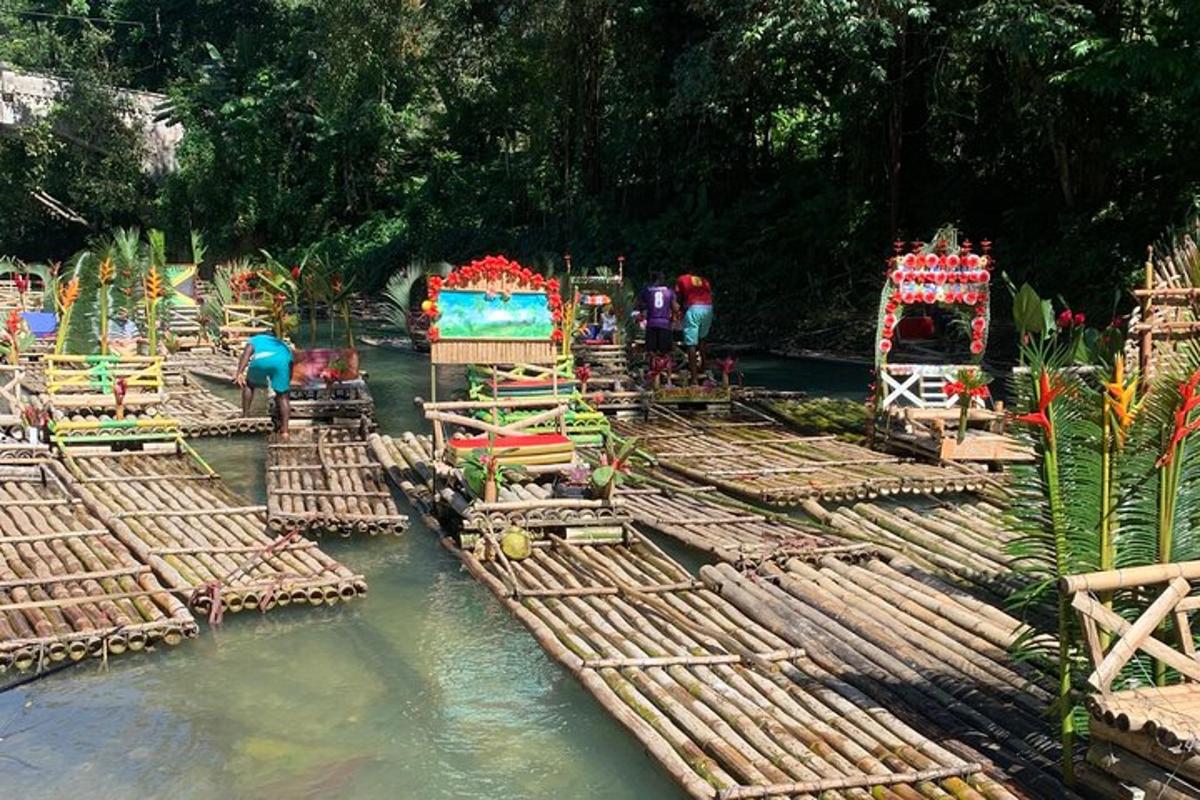 un grup de basses de bambú en una massa d'aigua