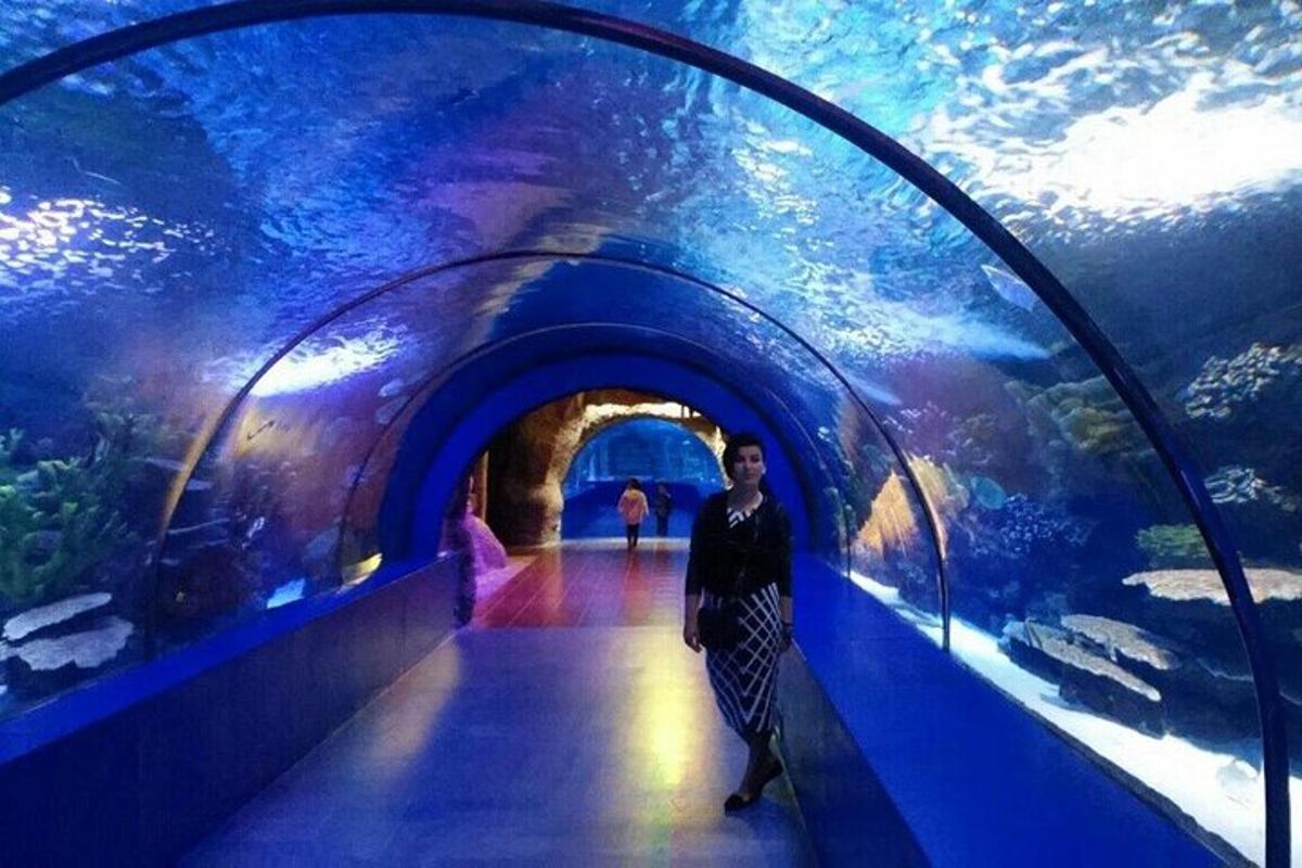 Photo de l’attraction numéro 2.