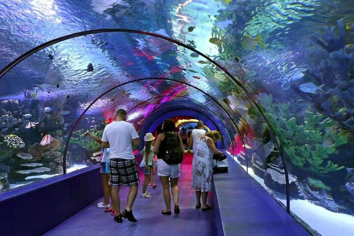 Attraction picture 4