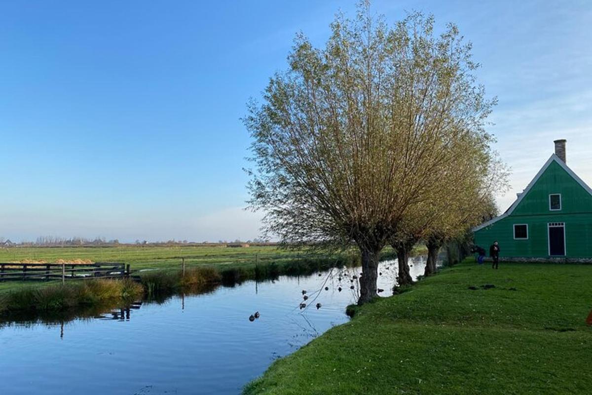 a green house next to a river with ducks in it