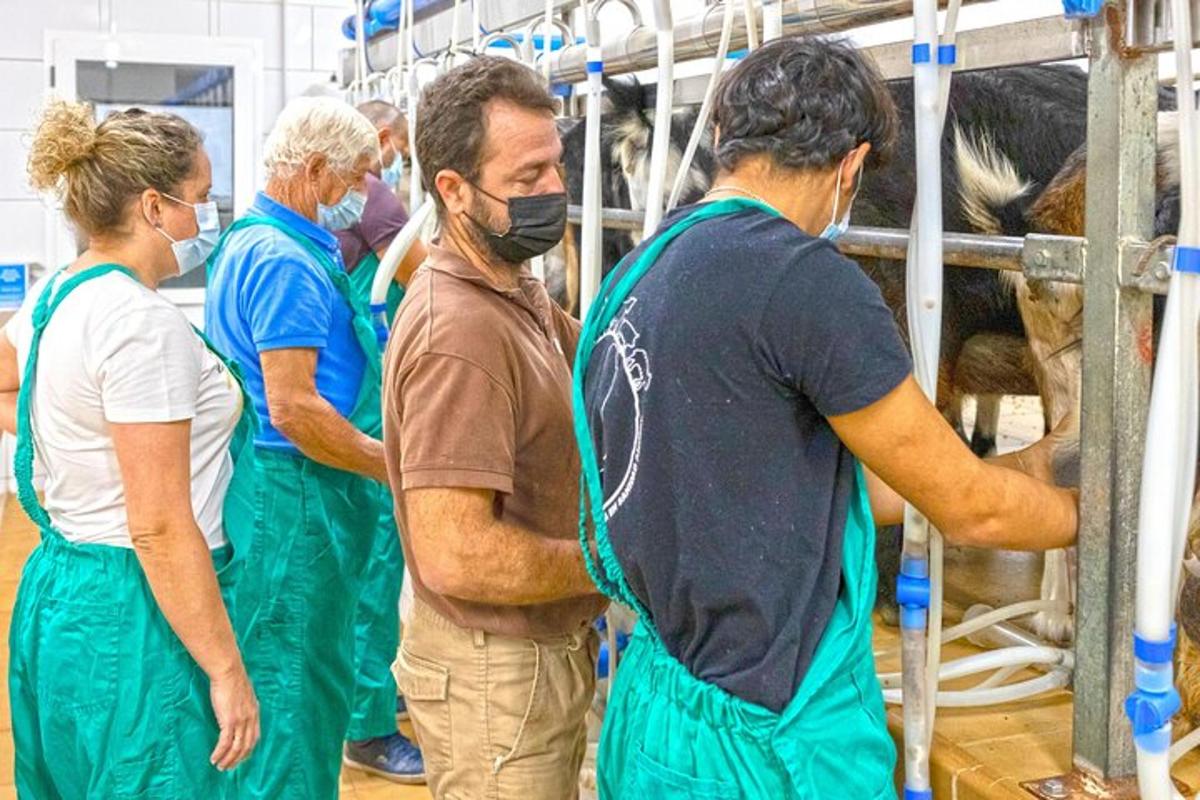 μια ομάδα ανθρώπων σε ένα εργοστάσιο που κοιτάζει αγελάδες