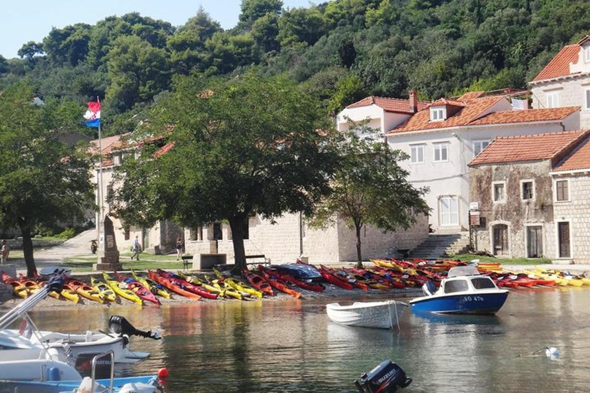 hunnik paate vees hoonete kõrval