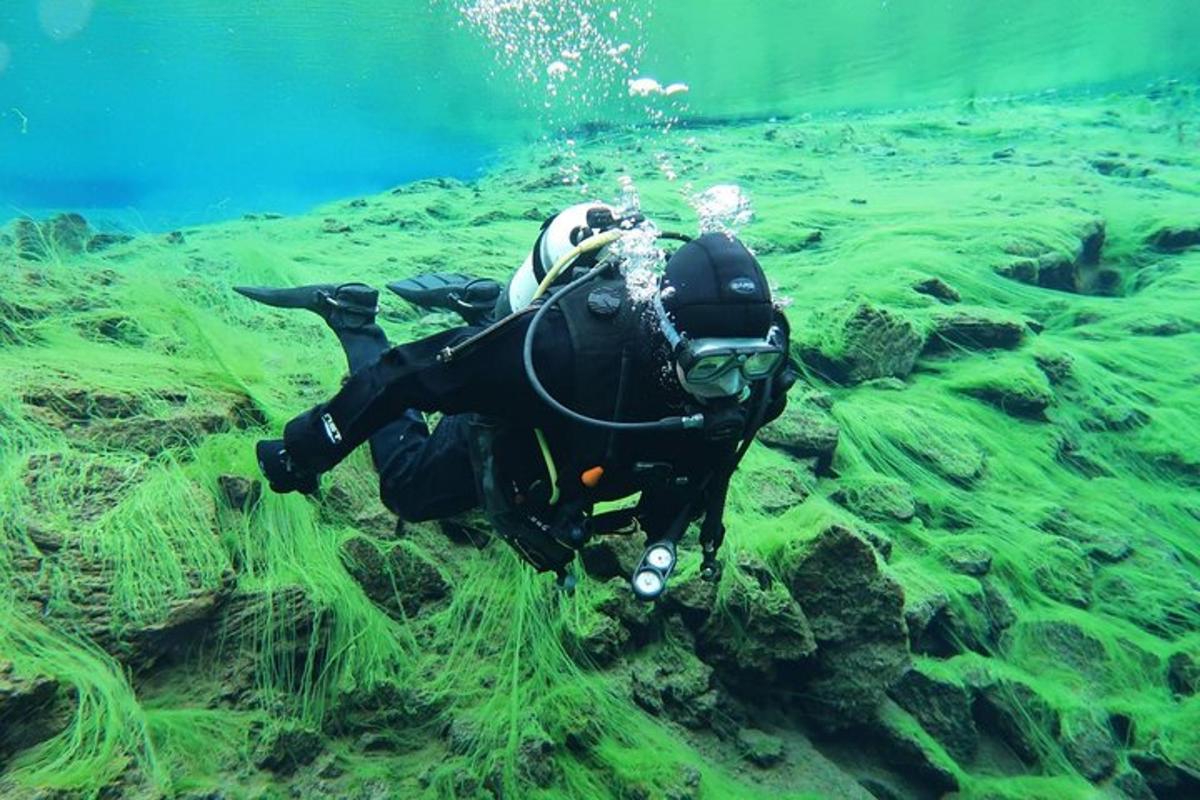isang tao sa isang diver suit sa tubig