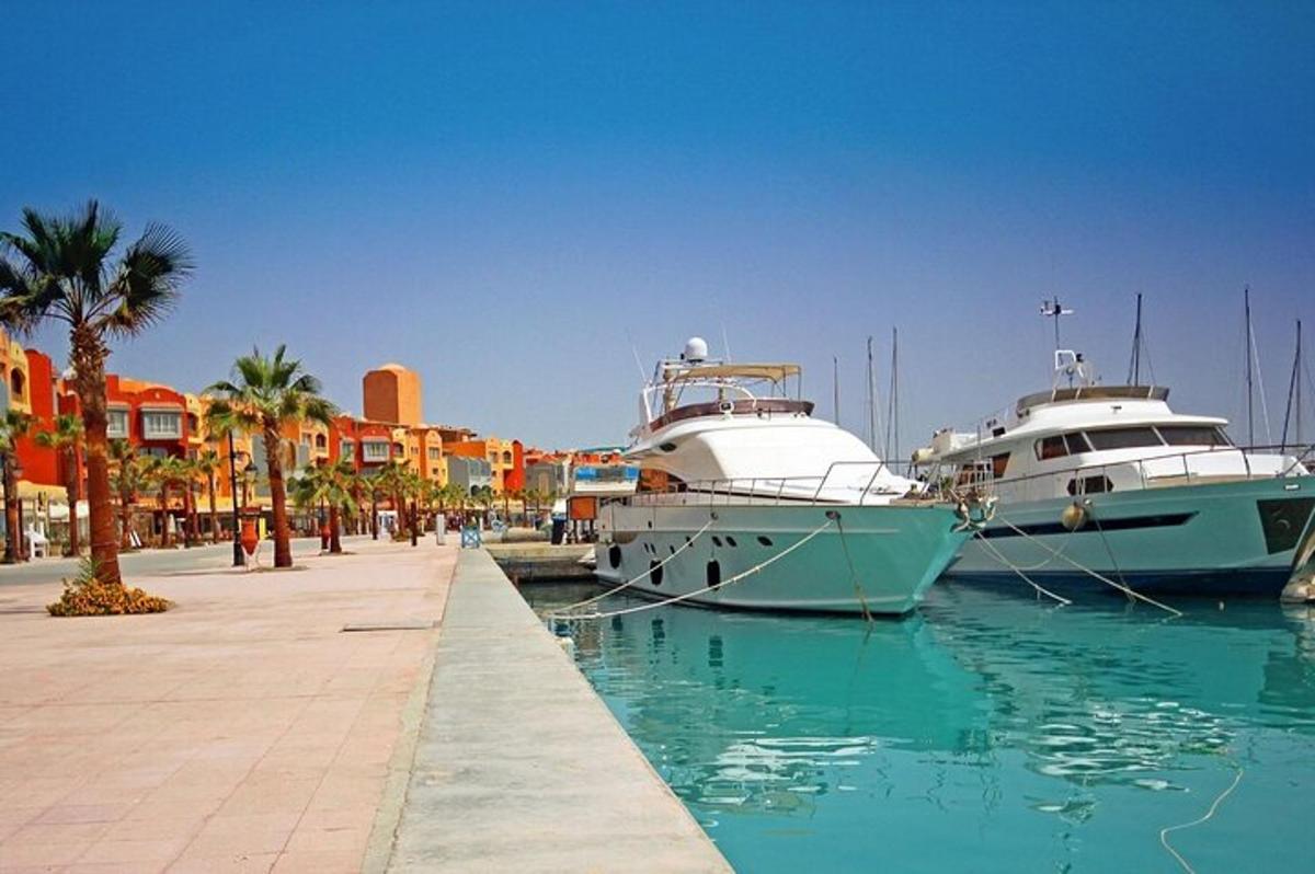 two boats docked in a marina with palm trees and buildings