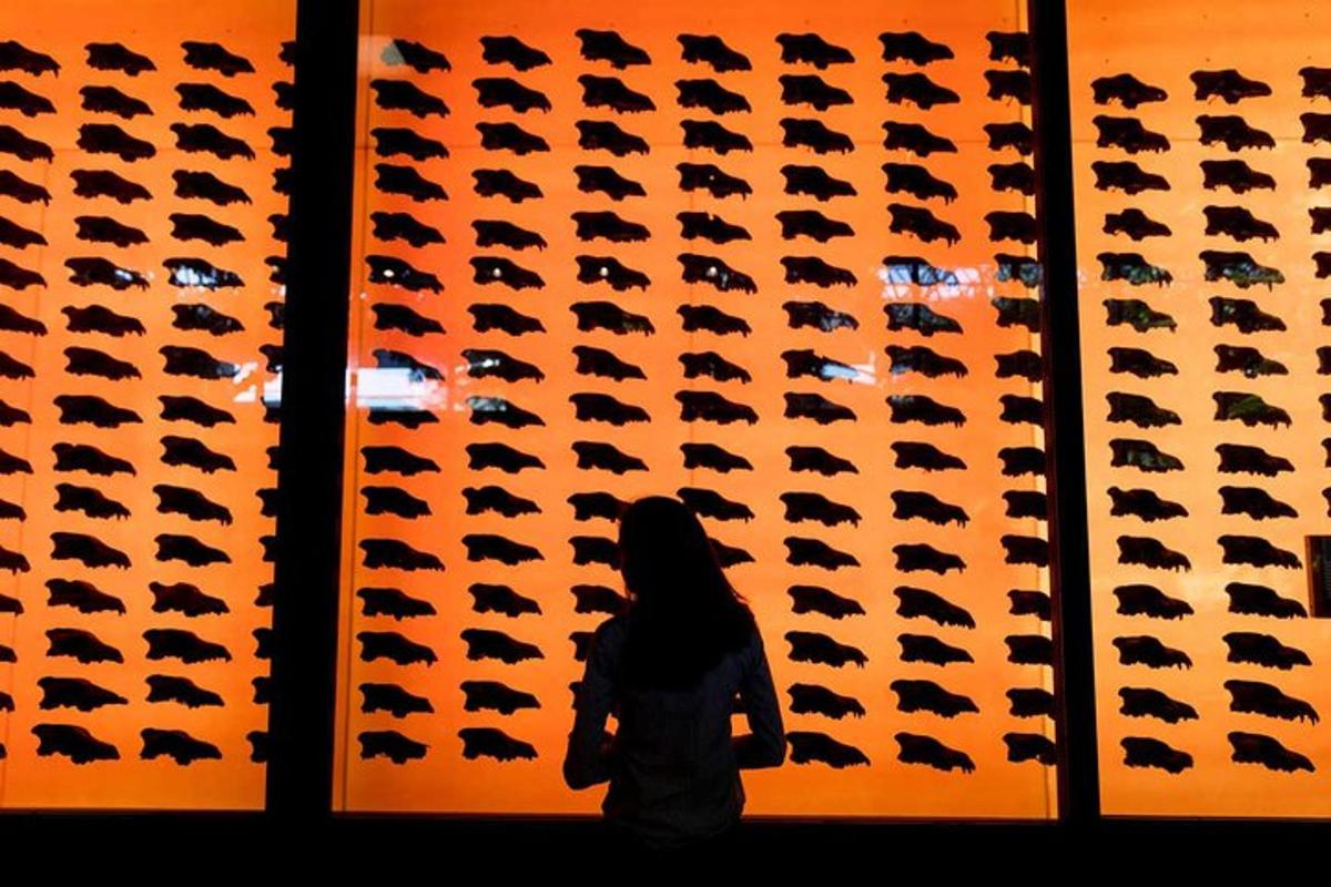 a woman standing in front of a wall of bats