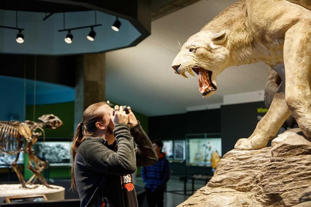 a woman taking a picture of a polar bear in a museum